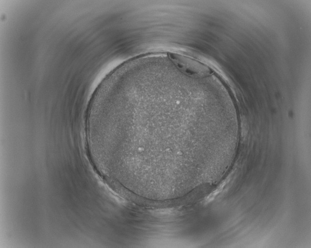 X0000072511048200608041501