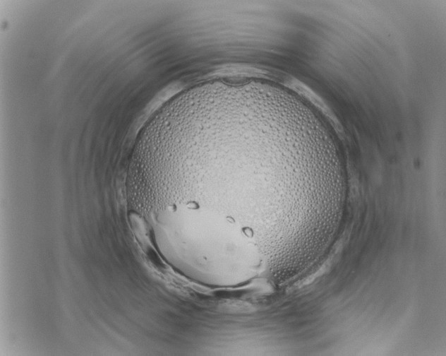 X0000072511049200608041501