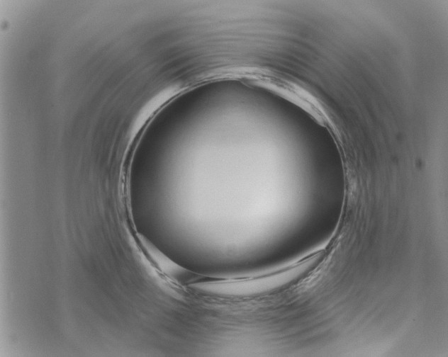 X0000072511050200608041501