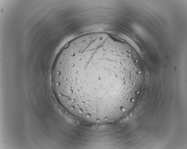 X0000072511051200608041501