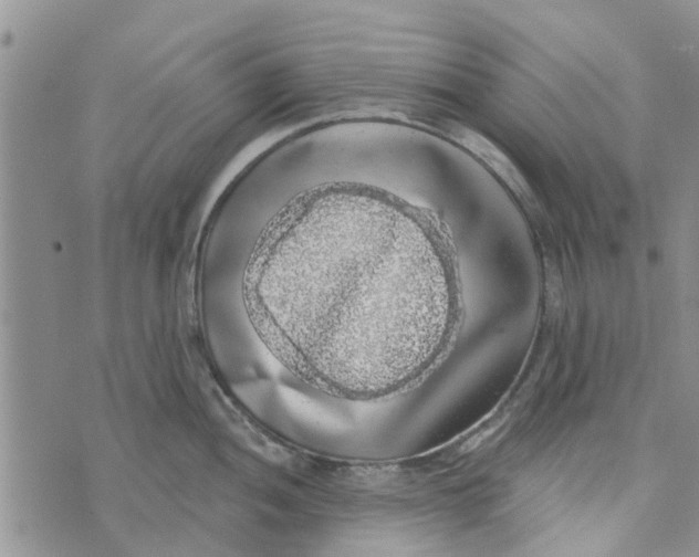 X0000072511052200608041501