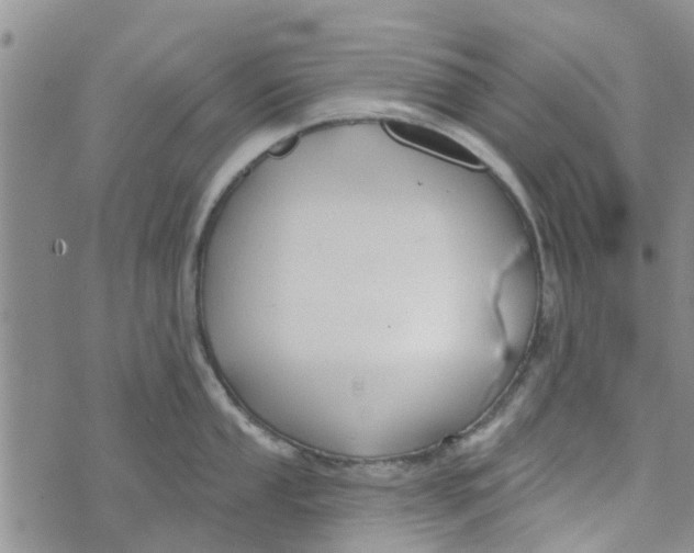 X0000072511053200608041501