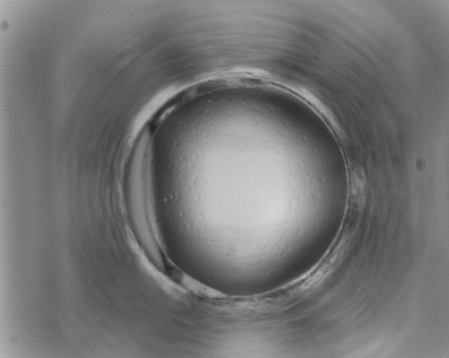 X0000072511054200608041501