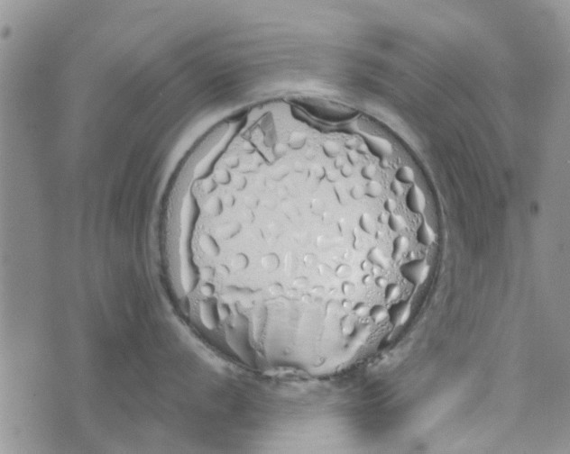 X0000072511056200608041501