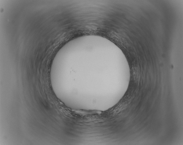 X0000072511057200608041501