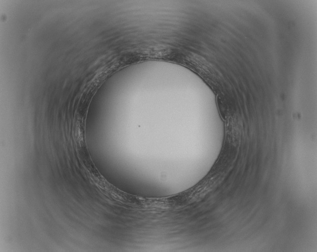 X0000072511058200608041501