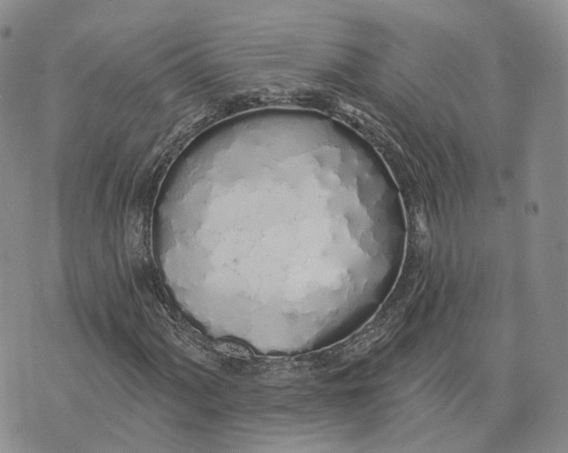 X0000072511060200608041501