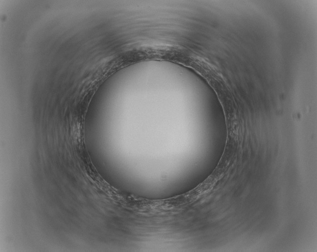 X0000072511061200608041501