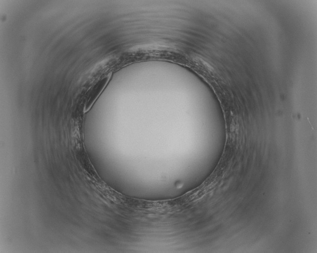 X0000072511062200608041501