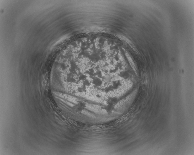 X0000072511063200608041501