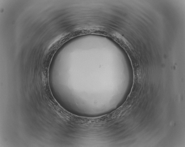 X0000072511064200608041501