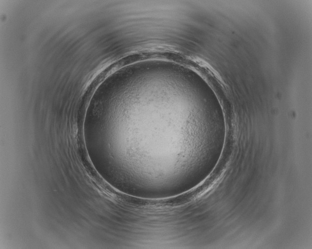 X0000072511065200608041501