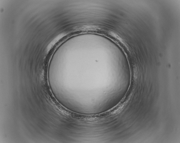 X0000072511066200608041500