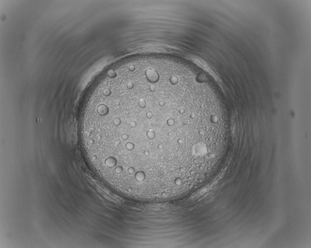 X0000072511067200608041500