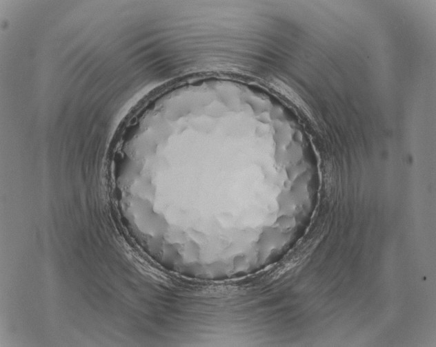 X0000072511068200608041500