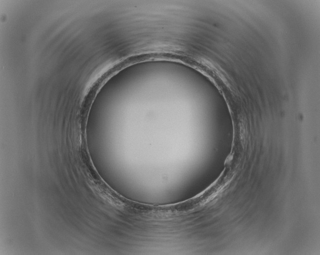 X0000072511069200608041500