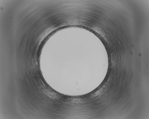 X0000072511070200608041500