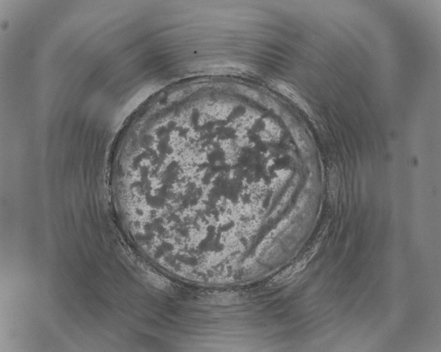 X0000072511071200608041500