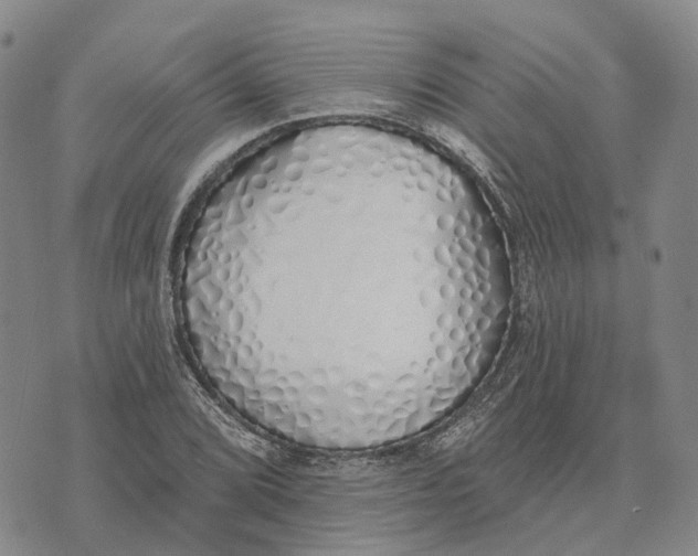 X0000072511072200608041500