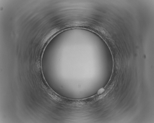 X0000072511073200608041500