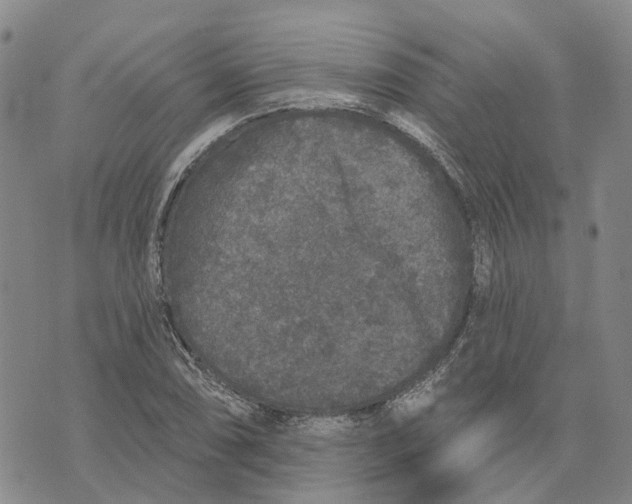 X0000072511074200608041500