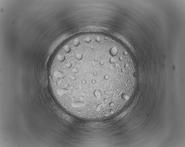 X0000072511075200608041500