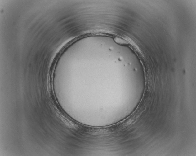 X0000072511076200608041500