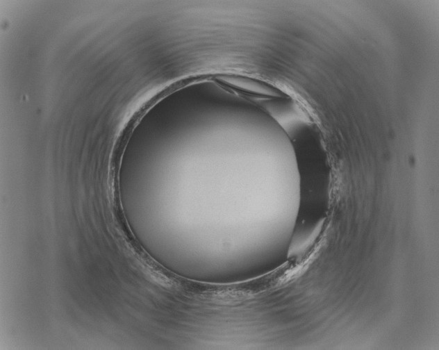 X0000072511077200608041500