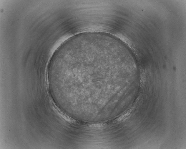 X0000072511078200608041500