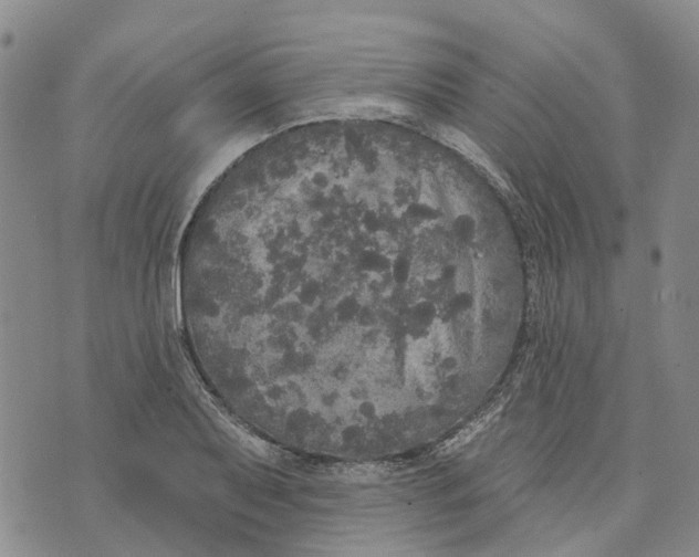 X0000072511079200608041500