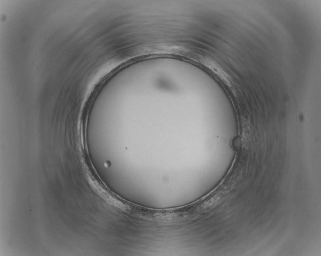 X0000072511080200608041500