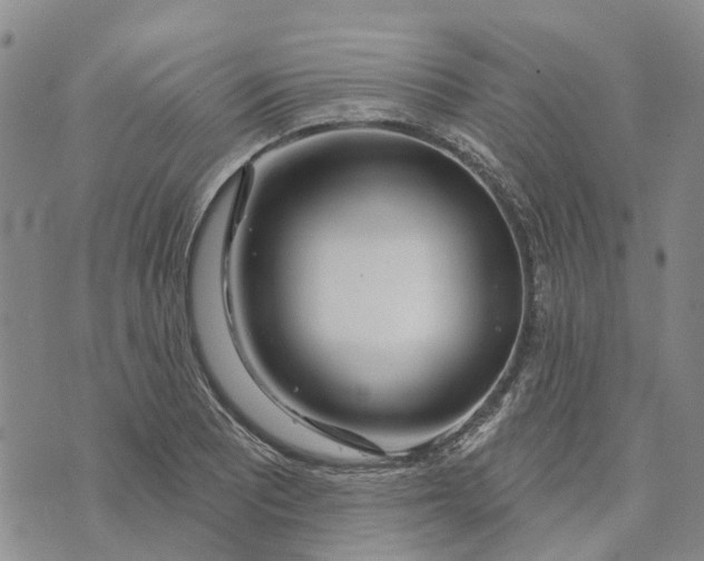 X0000072511081200608041500