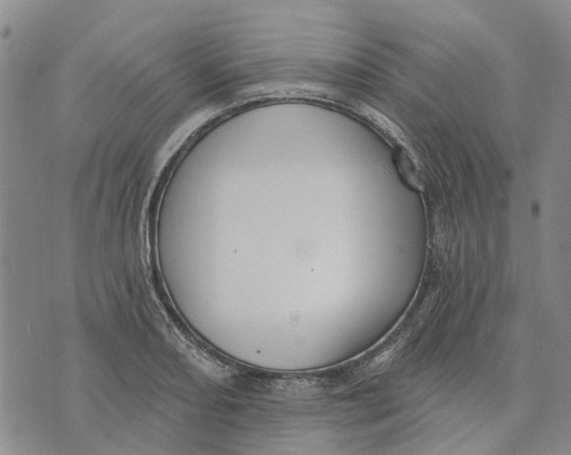 X0000072511082200608041500