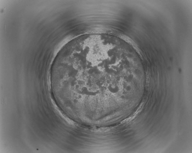 X0000072511083200608041500