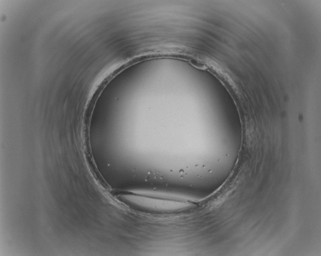 X0000072511085200608041500