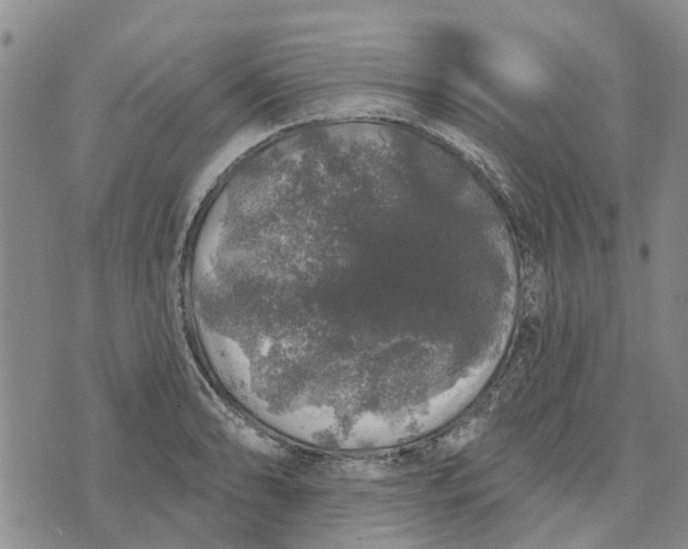 X0000072511086200608041500