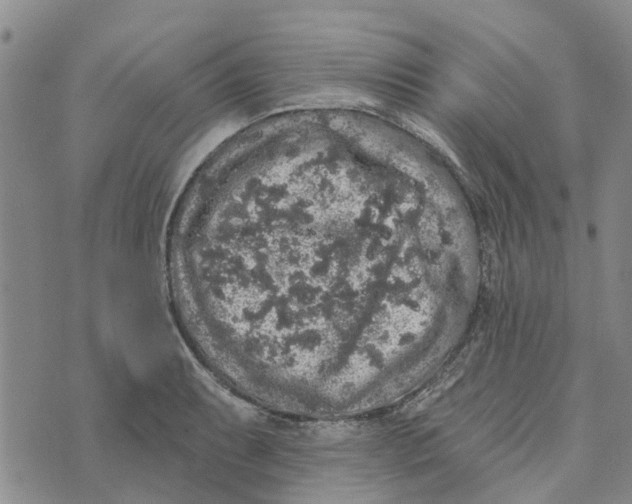 X0000072511087200608041500