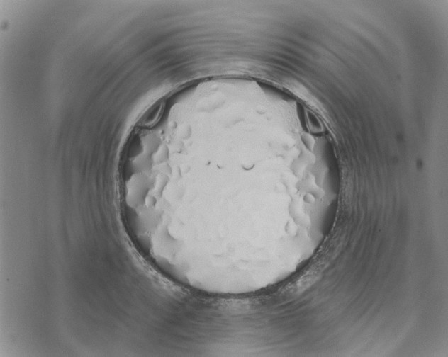 X0000072511088200608041500