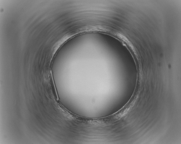 X0000072511089200608041500