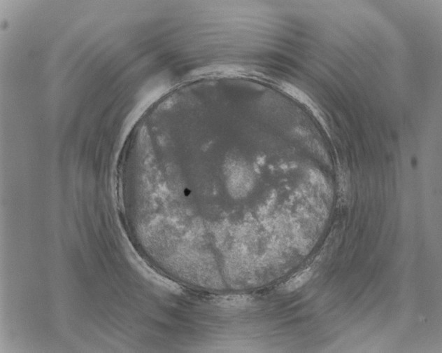 X0000072511090200608041500