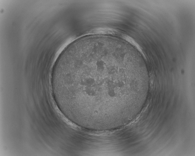 X0000072511091200608041500