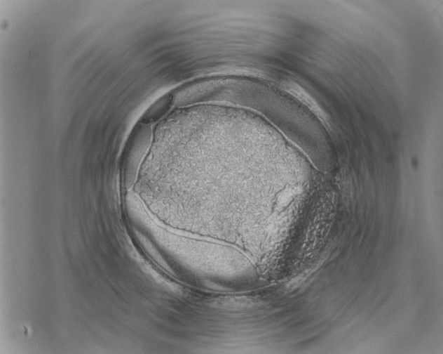 X0000072511092200608041500