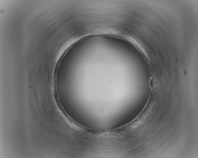 X0000072511093200608041500