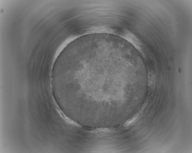 X0000072511094200608041500