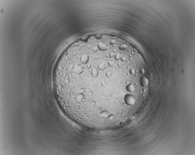 X0000072511095200608041500