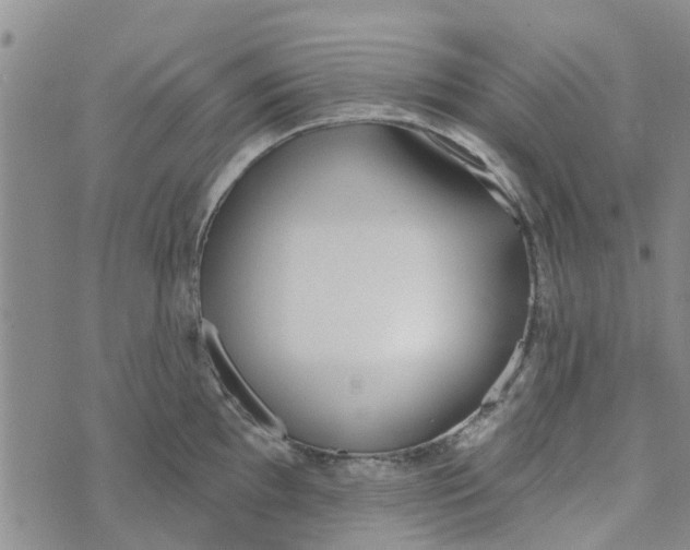 X0000072511097200608041500