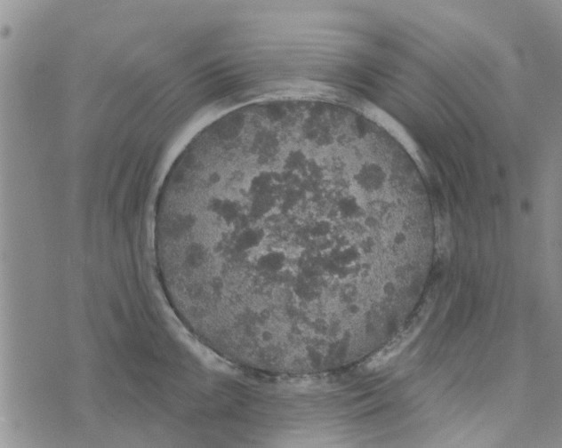 X0000072511099200608041500