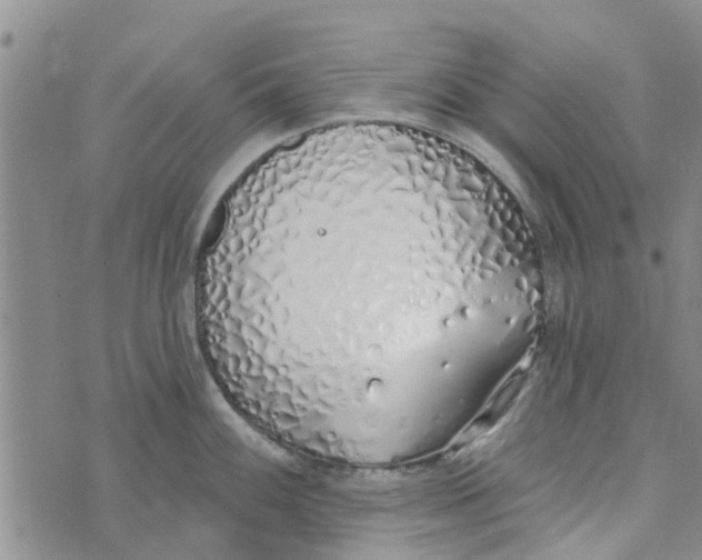 X0000072511100200608041500