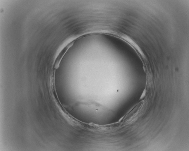 X0000072511101200608041500