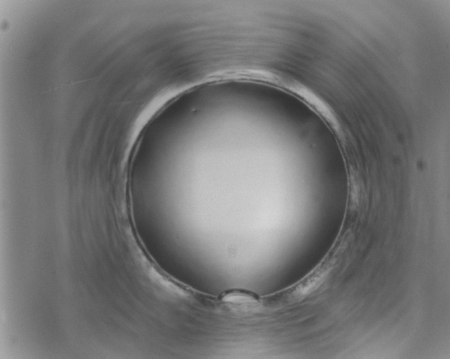 X0000072511102200608041500